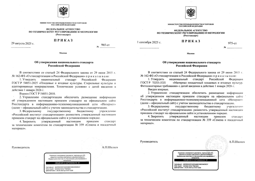 nacionalnyj-standart-2025